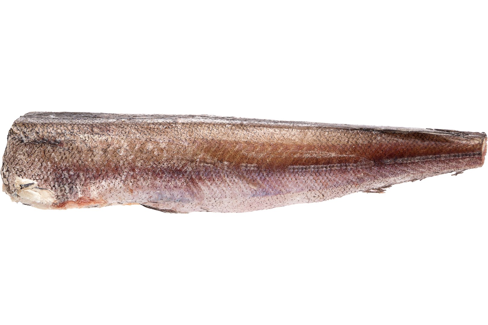 Фото Хек «Hake» 100-300 Америка