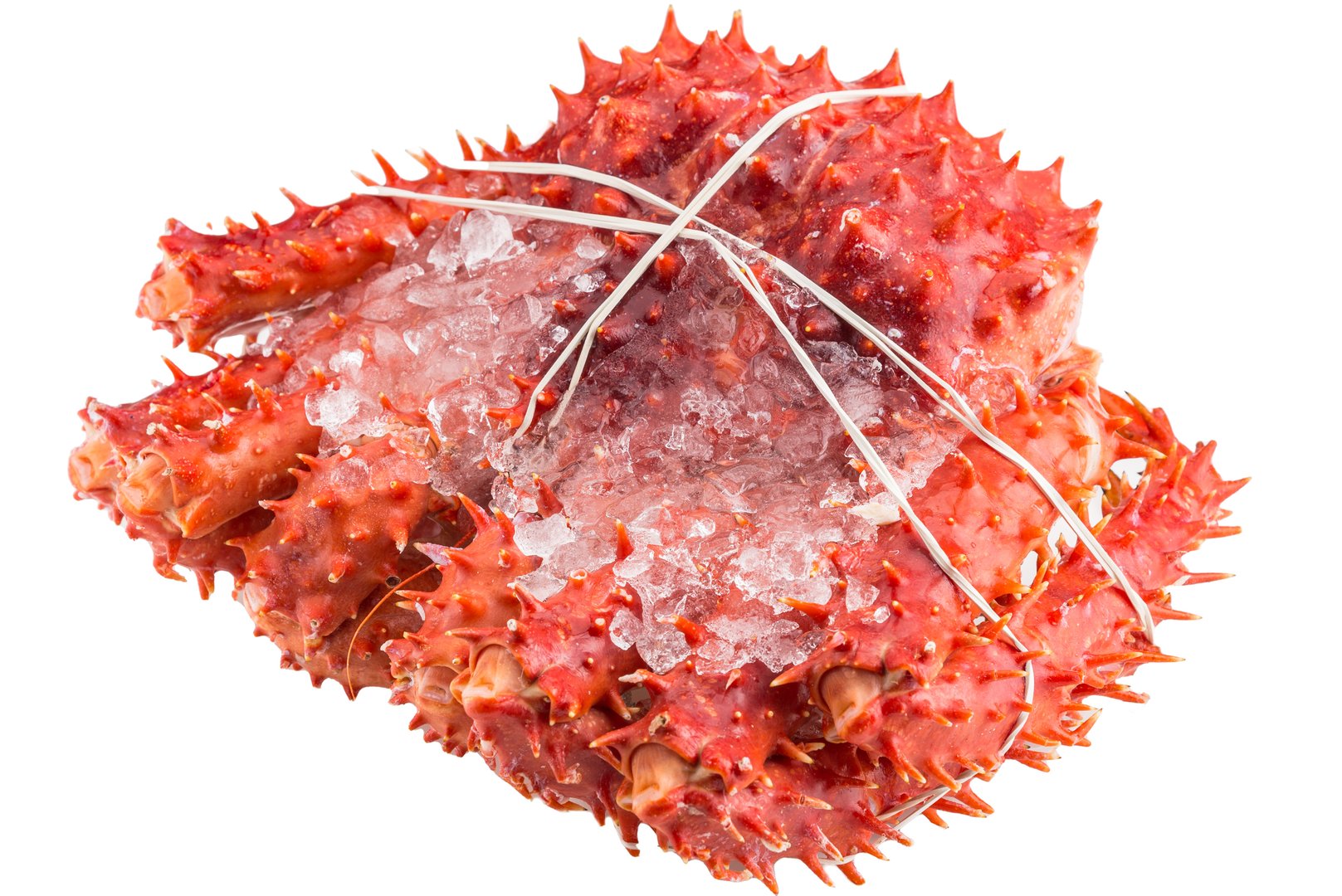 Фото Краб королевский «King Crab» целый